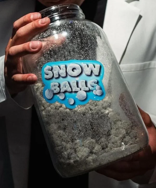 Snow Weed Jar for sale now in stock, Snow Cap Weed Full Pound | 1 Pound Weed Snow caps | Snow Caps Weed Pound, snowball caps weed in stock